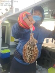 17일,"대광어"싸이즈 굿굿~개우럭~참돔,열기등, 오늘도 다양한 어종~손맛도 다르다~대대박~~군산낚시프라자 범고래호 사진