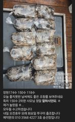 금일 174수한 쭈구미 조항입니다 사진