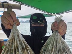 [사천] 삼천포 광용호 쭈꾸미 조황입니다~!! 쭈꾸미 팍팍 대박~~