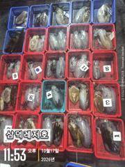 [팁런] 똥바람통,무시급,무늬들(수요일부터,출항) 사진
