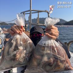 통영] 문어 사량도 굴어장 조황 17일(토) 통영 메티스호 사진