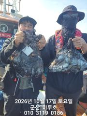 ★★ 군산 대일피싱 마루호 갑오징어 조황입니다. ~! 내일 3자리 있습니다. ~! 사진