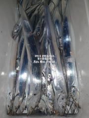 [마산] 내만갈치)도착후 피딩이 시작됩니다~도전하세요~예약중 사진
