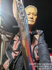 은빛 대갈치 3지 4지 5지도 보여요 화욜부터 가능