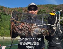 [통영] 국치마을(문어) 일타일피~담구면 덤빕니다 대박~락피싱(20일 예… 사진