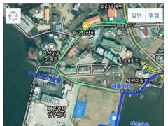 [거제] ( 거제하나호 )무늬오징어 멘탈게임. 사진
