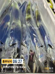 17일 입항박선장 1호 특대대박 조황 사진