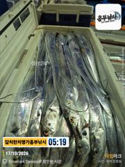 17일 입항 퍼담고 연일대박조황 김선장2호 사진