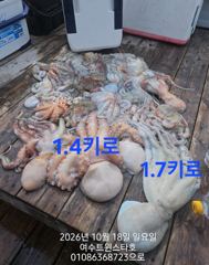 22일(목)문어전투자리가능01086368723 사진