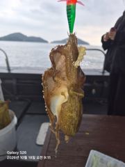 아라호 조항입니다