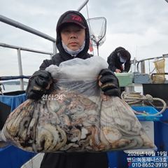 [고흥,녹동] 녹동제니스3호 10/19 가을문어 대박조황 사진