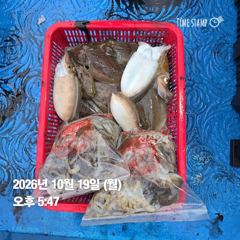 [그레이스호] 10/19 무시｜오후 쭈갑 호조황! 장원 쭈 80·갑 13수 사진