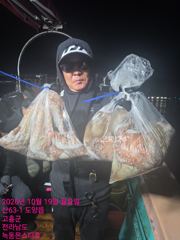 10월19일 팀보스선단 야간문어조황