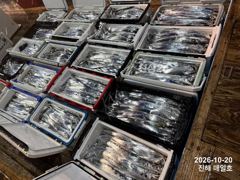 [20일,준내만갈치]4지5지,4지5지~!! 대물파티!! 쿨러도장까지~!! 많이잡고!! 오늘예약가능합니다^ㅡ^ 자리여유많습니다~ 사진