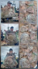 [여수,광양] 실시간 대물돌문어 1,62k 1,55k 등등 대울 키로급들… 사진