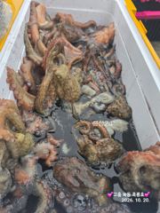 10/20 고흥녹동흑룡호 문어조황 사진