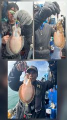 10월 20일 먹물 조황