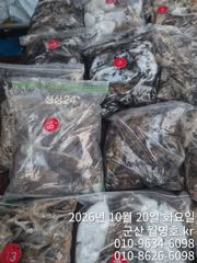 20일 쭈갑 오후반 문어다 문어 ! ! !