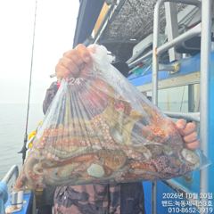 녹동제니스3호 10/20 가을문어 대박조황 사진