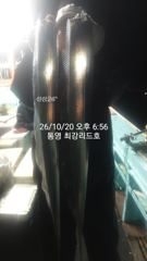 [통영최강리드호] 실시간 갈치 조황/ 초저녁부터 3지급 이상 올…