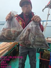10월20일 팀보스선단 문어 호조황 사진