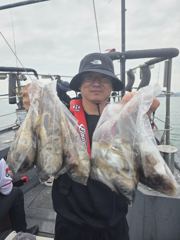 갑오징어 쭈꾸미 굿조황