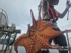 [진해] "돌문어" 1300g부터 키로키로 대물들~ 떠블에 트리플힛트!…