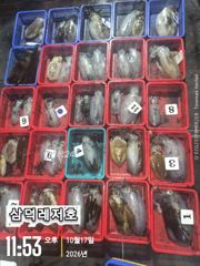 [팁런] k,k,.무시급들, (토요일,출항,예약중)