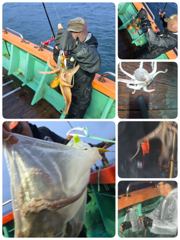 포항문어 오늘수요일오후5시 모집중입니다 사진