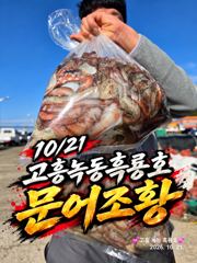 10/21 고흥녹동흑룡호 문어조황