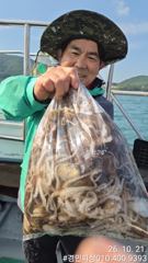강한바람에도 쭈꾸미 세자리수찍어불고~~