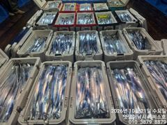 준내만갈치~3.4.5지까지 전원 쿨러 가득가득 채우고 오네요 사진