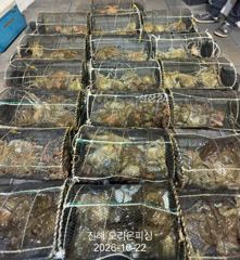 [진해] 야간문어:덩치급들이 줄줄이 대박히트~오늘예약가능 사진