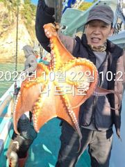 22일, 군산 왕문어 ~문어 빅 싸이즈 게임~오늘도 나오네요~실시간~매일출조~군산낚시프라자 나드리호 사진