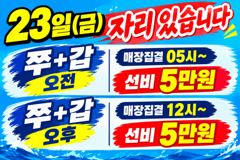뉴오리온호 갑오징어 낚시 실시간조황(22일)