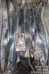 내만 갈치~ 3.5지까지~ 씨알최고~ 손맛최고~ 초보가능~ 오늘 5시 30분 출항확정~ 목금토일 예약가능~ 사진
