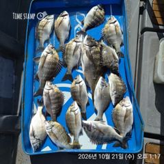 [마산] 해상월1ᆢ45외 씨알 마릿수 좋습니다!!(21일)