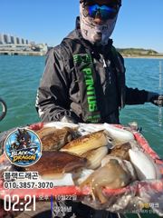 10/22 블랙드래곤 갑오징어 꾸준히 ^^ 사진