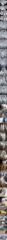 먼바다왕갈치(16석.외줄)홍도권 3지4지5지~낼 금욜부터 정출.예약가능
