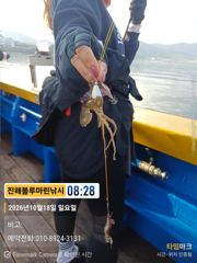 쭈꾸미)쭈.갑.문어까지 (일요일 예약가능합니다) 사진