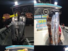 진해내만갈치~종일입질~전원~쿨러 꽉꽉~채우고~예약가능 사진