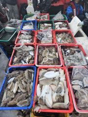 10월19일 갑이조항