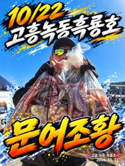 10/22 고흥녹동흑룡호 문어조황 사진