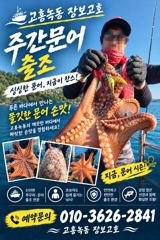 녹동돌문어 싸이즈가 좋네요 ~ 사진