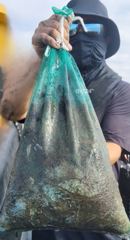 20261022//인천에이스피싱//갑오징어출조