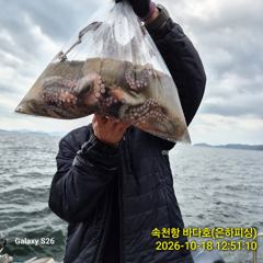 [진해] 내만 문어 야간 낚시 키로급 버글버글 오늘 무조건 출항 황제 낚…