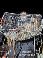 (문어)믿음의 강민호 5연타 외 K대물 매일매일~(24일 예약)