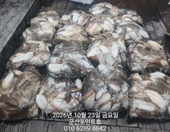 포인트호 연일100갑장원망탱이~~