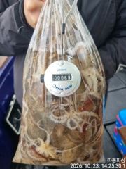 [사천] 23일 왕쭈(인증샷)조항 장원90수 좋아좋아 따봉 ~일욜(출항확…