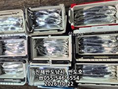 [진해] 22일,내만갈치 씨알 커지고 예민한 입질에 꼬셔 잡고,내일5자리…